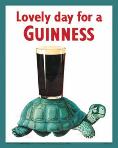 Guinness_Turtle