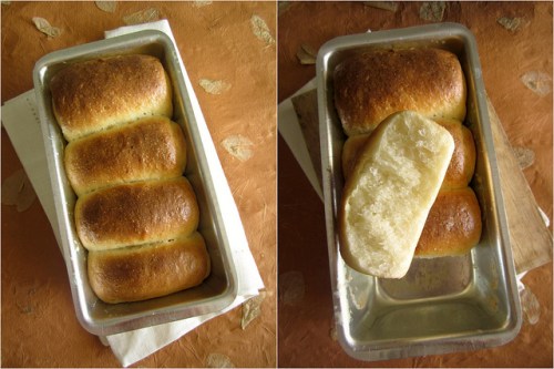 Hokkaido Milk Bread