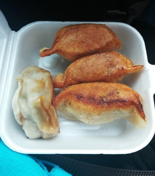 Vanessa's Dumpling House