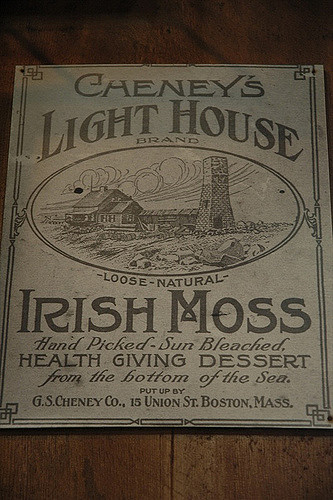 Irish Moss