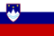 SlovenianFlag